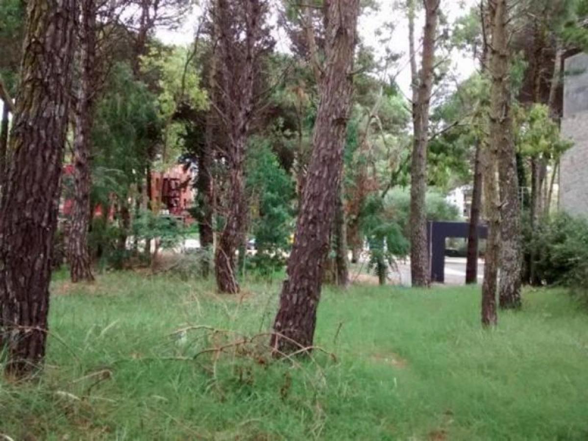 Grundstück in Mar del Plata, Argentina, Nr. 119590