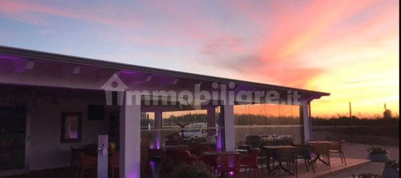 Gewerbliche Immobilie in Badesi, Italy 200m², Nr. 251780 4