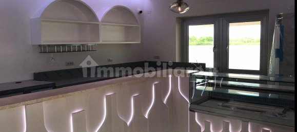 Gewerbliche Immobilie in Badesi, Italy 200m², Nr. 251780 15