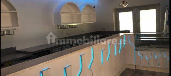 Gewerbliche Immobilie in Badesi, Italy 200m², Nr. 251780 13