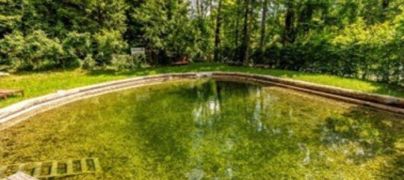 22 rooms House in Bad Aussee, Austria No. 222767 16