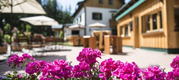 22 rooms House in Bad Aussee, Austria No. 222767 20