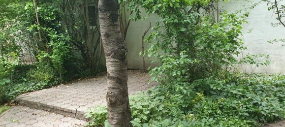 Земельный участок в Фрауэнкирхен, Австрия № 154185 8