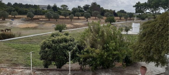 7 bedrooms House in Cartaxo, Portugal No. 142328 8