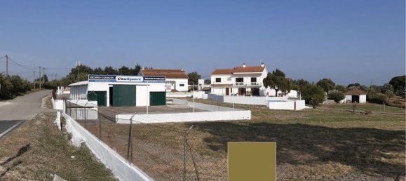 7 bedrooms House in Cartaxo, Portugal No. 142328 3