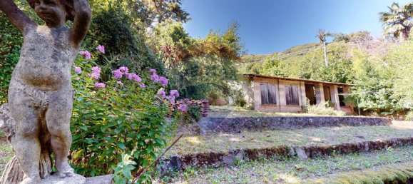 11 bedrooms Villa in Savignone, Italy No. 268463 29