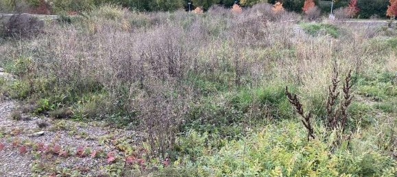 Grundstück in Schwalm-Eder, Germany 700m², Nr. 191715 2