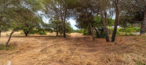 Grundstück in Almancil, Portugal 14872m², Nr. 190228 14