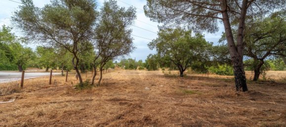 Grundstück in Almancil, Portugal 14872m², Nr. 190228 15