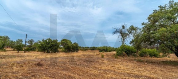 Grundstück in Almancil, Portugal 14872m², Nr. 190228 4