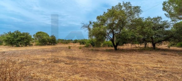 Grundstück in Almancil, Portugal 14872m², Nr. 190228 17