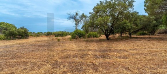 Grundstück in Almancil, Portugal 14872m², Nr. 190228 18