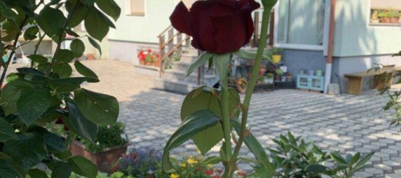 9 rooms House in Wiener Neustadt, Austria No. 217703 9