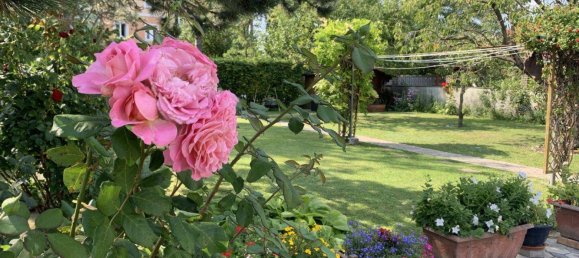 9 rooms House in Wiener Neustadt, Austria No. 217703 18