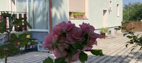 9 rooms House in Wiener Neustadt, Austria No. 217703 4