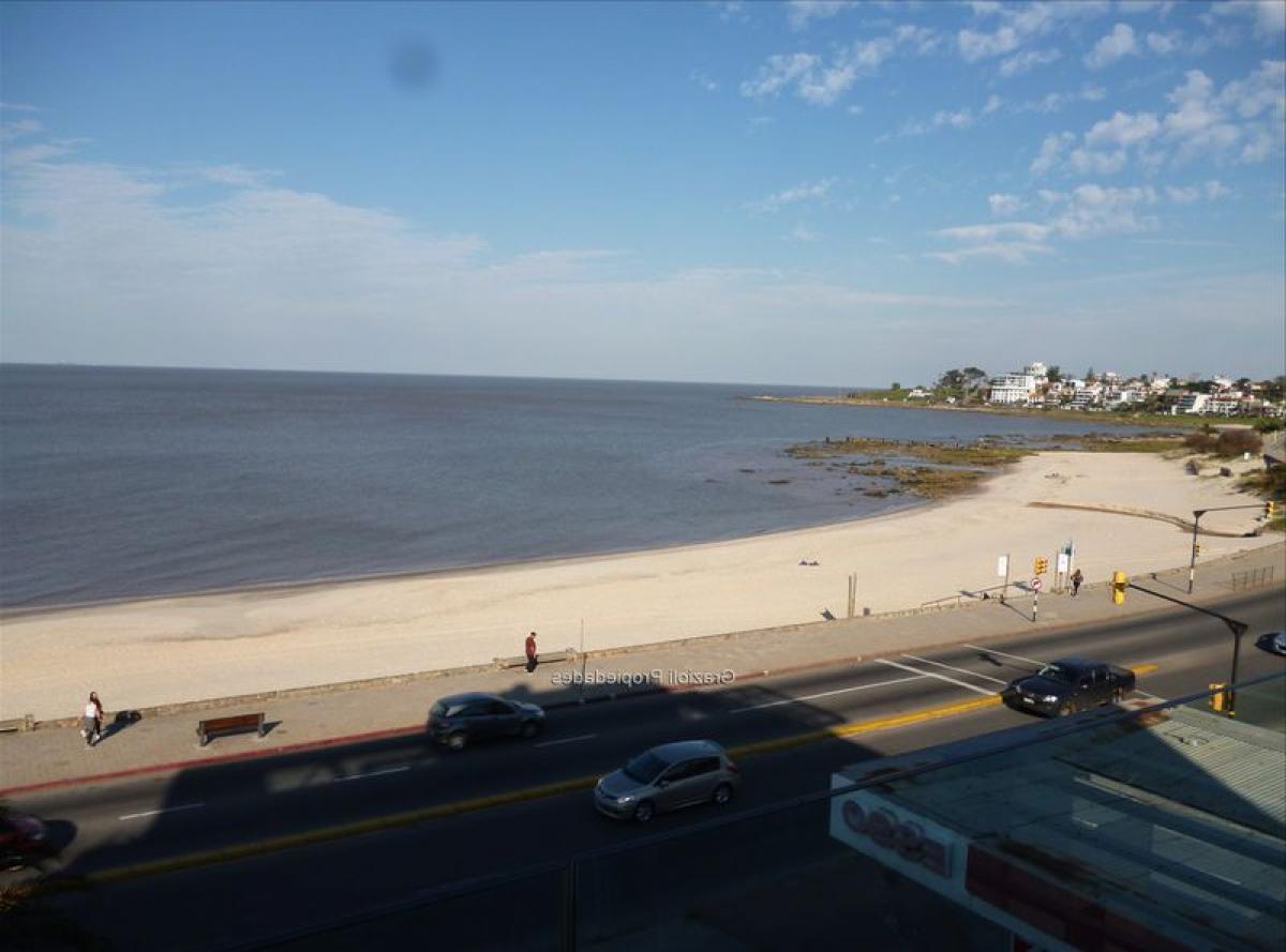 2 Schlafzimmer Wohnung in Montevideo, Uruguay, Nr. 3100