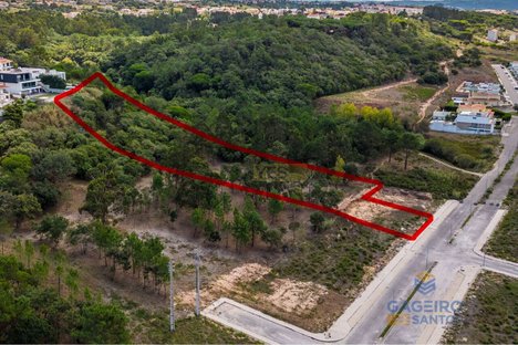 Grundstück in Caldas da Rainha, Portugal 7470m², Nr. 81431