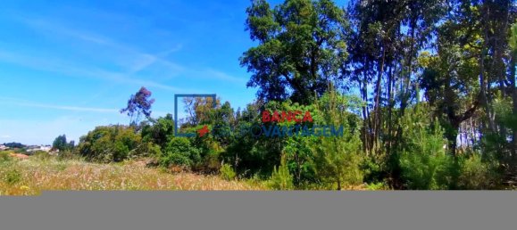 13820m² Land in Cartaxo, Portugal No. 88975 7