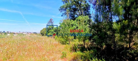 13820m² Land in Cartaxo, Portugal No. 88975 3