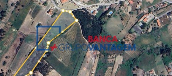 13820m² Land in Cartaxo, Portugal No. 88975 12
