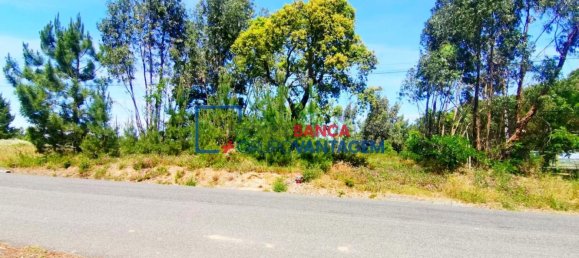 13820m² Land in Cartaxo, Portugal No. 88975 4