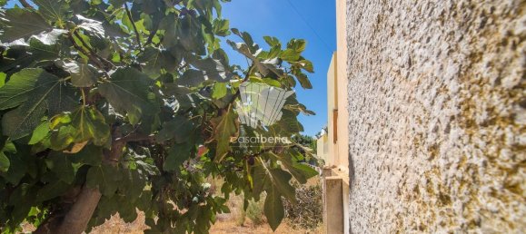 9108m² Land in Quelfes, Portugal No. 107878 10