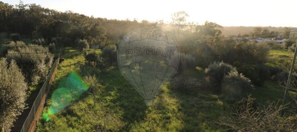 Casa de 6 dormitorios en Pombal, Portugal No. 19539 17