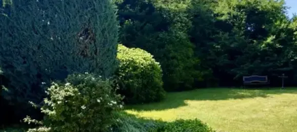 6 chambres Maison à Siegen-Wittgenstein, Germany No. 328569 5