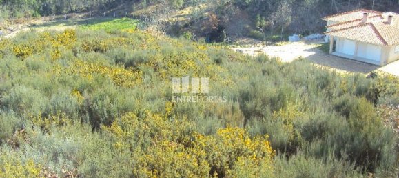 Земельный участок 14504м² в Марку ди Канавезиш, Португалия № 46090 13