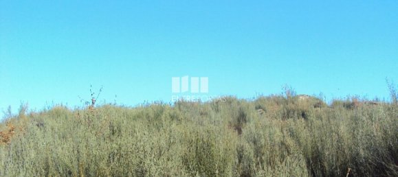 Земельный участок 14504м² в Марку ди Канавезиш, Португалия № 46090 10