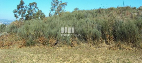 Земельный участок 14504м² в Марку ди Канавезиш, Португалия № 46090 3