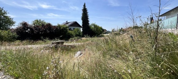 Terreno em Kirchberg bei Mattighofen, Austria N.º 128028 2