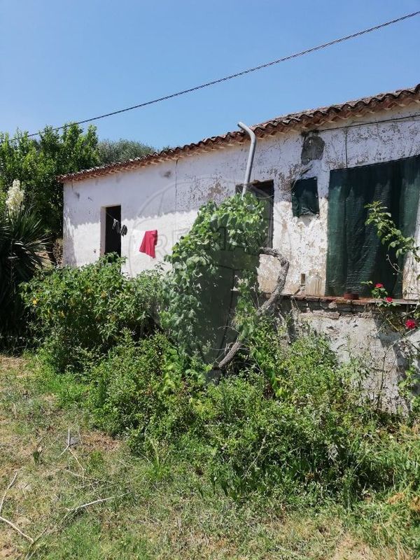 3 bedrooms House in Abrantes, Portugal No. 24985