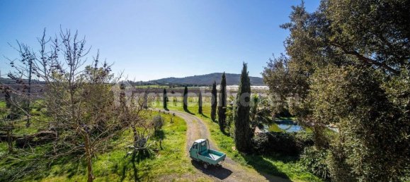 5 Schlafzimmer Haus in Gavorrano, Italy, Nr. 74676 23