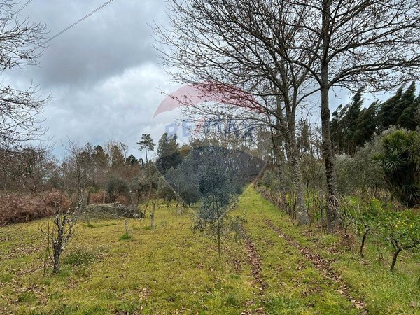 Grundstück in Viseu, Portugal 3944m², Nr. 37523