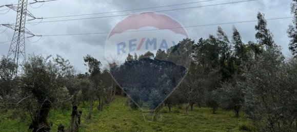 Grundstück in Viseu, Portugal 3944m², Nr. 37523 4