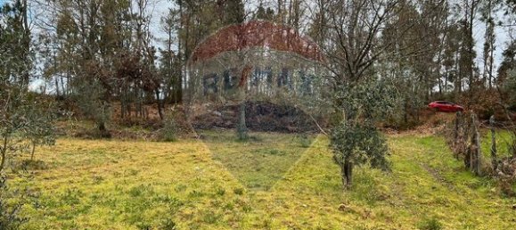 Grundstück in Viseu, Portugal 3944m², Nr. 37523 5