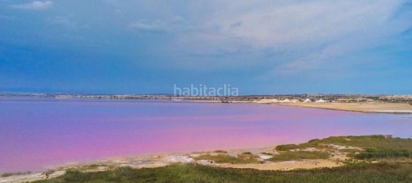 3 bedrooms Apartment in Torrevieja, Spain No. 140539 31