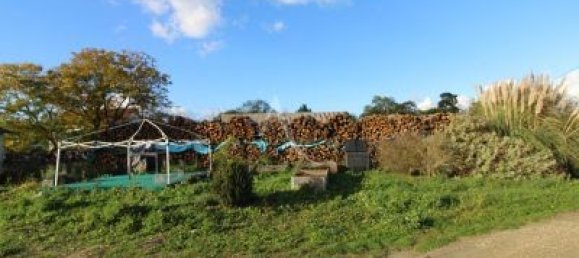 2 bedrooms House in Loir-et-Cher, France No. 85812 8