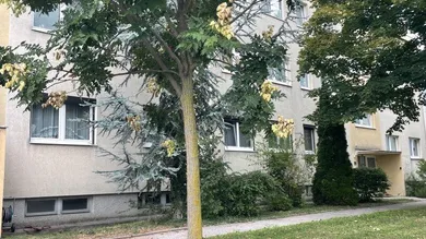 3 rooms Apartment in Gumpoldskirchen, Austria No. 217514