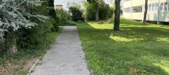 3 rooms Apartment in Gumpoldskirchen, Austria No. 217514 16