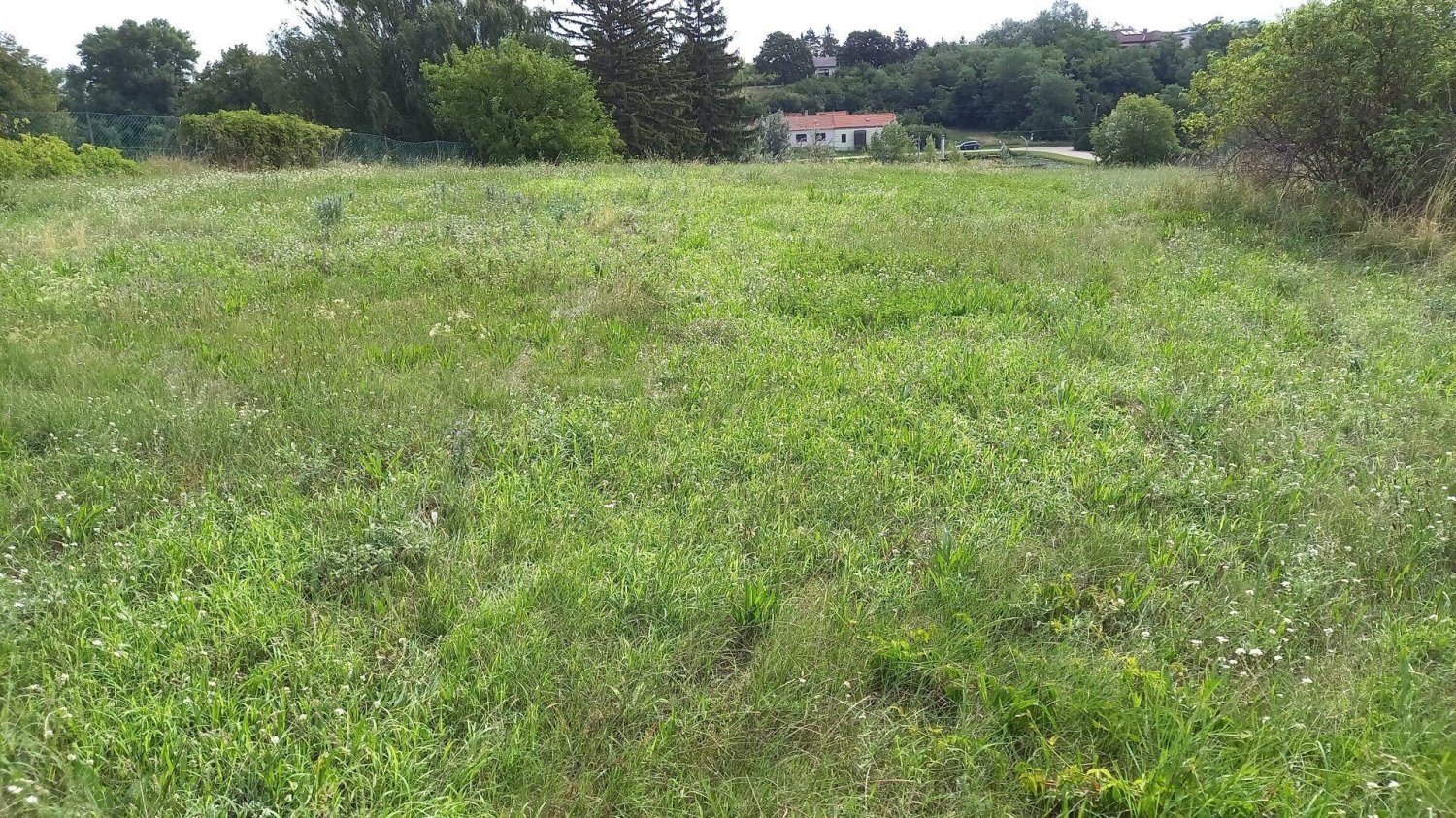  Land in Engelhartstetten, Austria No. 202240