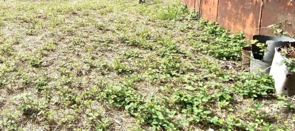 8 rooms House in Carrara, Italy No. 41478 7