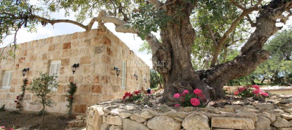 Casa de 3 dormitorios en Qormi, Malta No. 9542 2