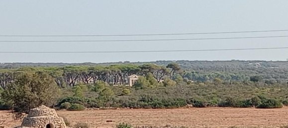 Вилла с 3 комнатами в Маруджо, Италия № 104331 4