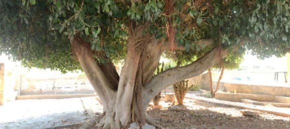 Вилла с 3 комнатами в Маруджо, Италия № 104331 33