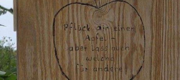 3 rooms Apartment in Maria Enzersdorf, Austria No. 218439 33