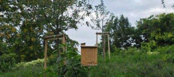 3 rooms Apartment in Maria Enzersdorf, Austria No. 218439 34