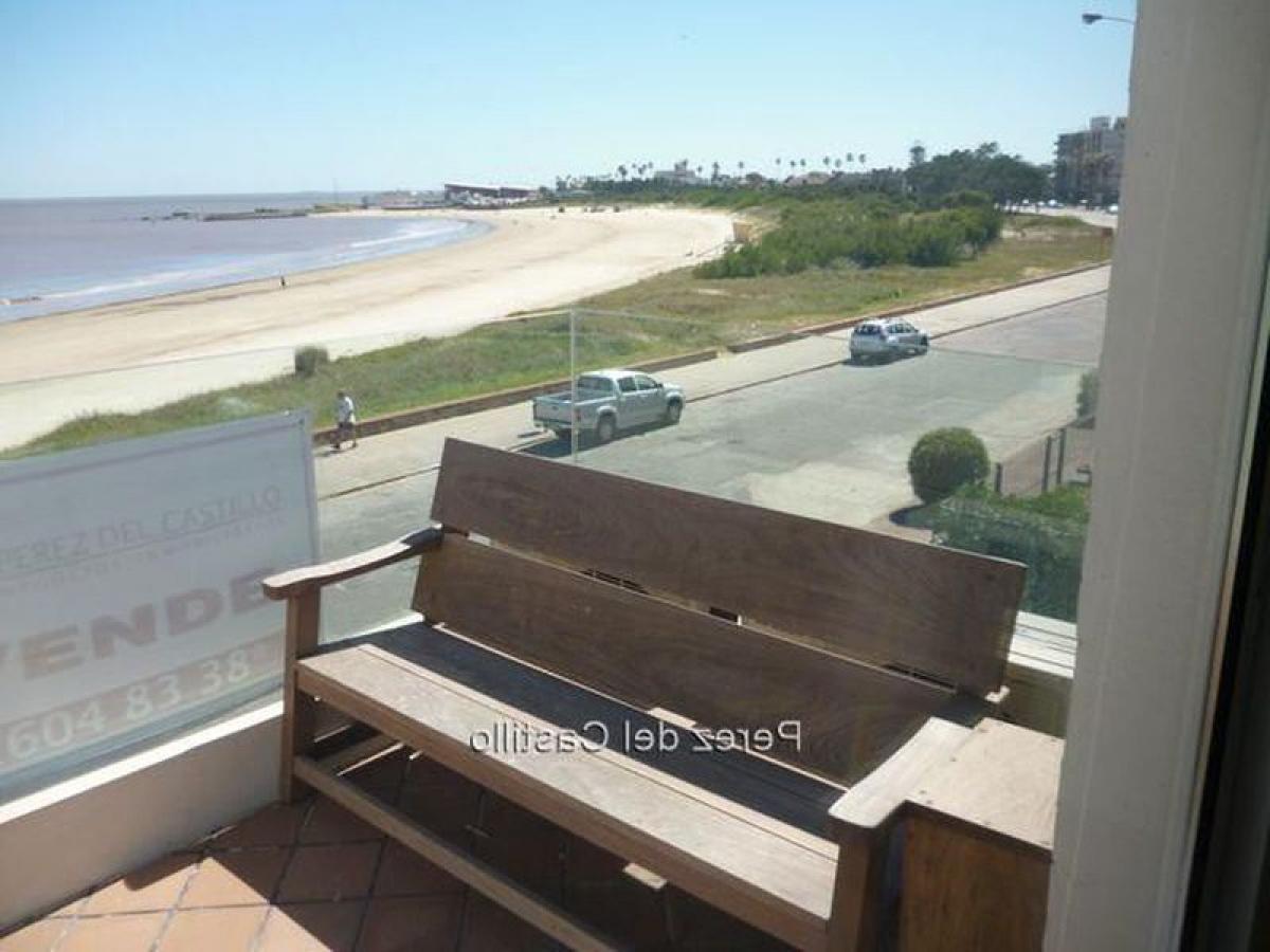 3 Schlafzimmer Wohnung in Montevideo, Uruguay, Nr. 12020