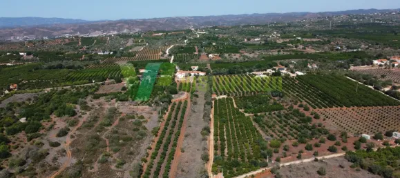 Casa de 3 dormitorios en Silves, Portugal No. 40725 19